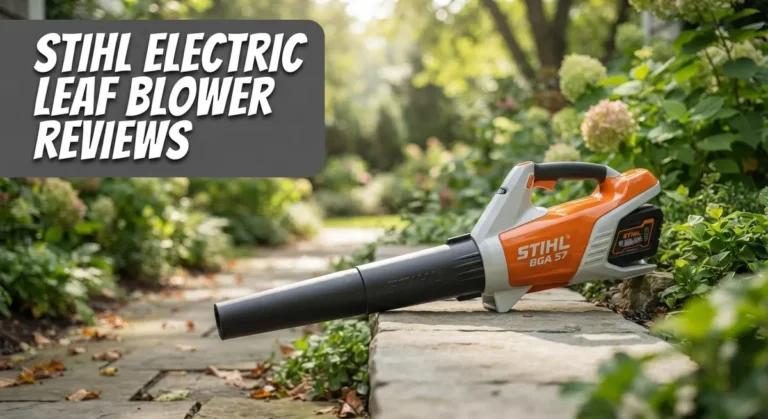 STIHL Electric Leaf Blower Reviews: Worth Your Money in 2026?